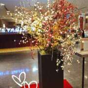 ヒメ日記 2026/03/13 09:01 投稿 ななえ 佐久上田人妻隊