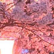 ヒメ日記 2026/04/08 22:14 投稿 ななえ 佐久上田人妻隊