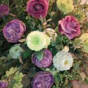 ヒメ日記 2026/04/22 08:36 投稿 ななえ 佐久上田人妻隊