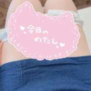 ヒメ日記 2025/10/19 08:40 投稿 ワタ キャンディ(鹿児島)