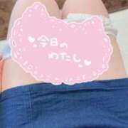 ヒメ日記 2026/02/23 12:25 投稿 ワタ キャンディ(鹿児島)