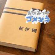 ヒメ日記 2026/04/25 08:40 投稿 ワタ キャンディ(鹿児島)
