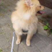 ヒメ日記 2024/12/10 12:51 投稿 新人・静香(しずか) グランドオペラ福岡