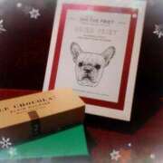 ヒメ日記 2024/12/23 02:04 投稿 新人・静香(しずか) グランドオペラ福岡