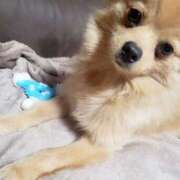 ヒメ日記 2025/01/14 15:02 投稿 新人・静香(しずか) グランドオペラ福岡