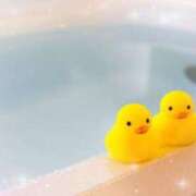 ヒメ日記 2025/03/09 05:01 投稿 新人・静香(しずか) グランドオペラ福岡