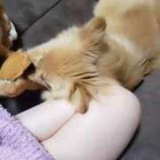 ヒメ日記 2025/03/14 07:31 投稿 新人・静香(しずか) グランドオペラ福岡