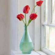 ヒメ日記 2025/03/24 22:28 投稿 新人・静香(しずか) グランドオペラ福岡