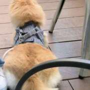 ヒメ日記 2025/03/31 08:11 投稿 新人・静香(しずか) グランドオペラ福岡