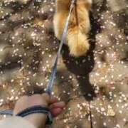 ヒメ日記 2025/04/14 16:58 投稿 新人・静香(しずか) グランドオペラ福岡