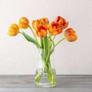 ヒメ日記 2025/04/19 21:28 投稿 新人・静香(しずか) グランドオペラ福岡