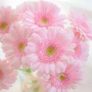 ヒメ日記 2025/05/11 06:51 投稿 新人・静香(しずか) グランドオペラ福岡