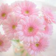 ヒメ日記 2025/05/15 07:51 投稿 新人・静香(しずか) グランドオペラ福岡