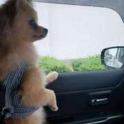 ヒメ日記 2025/05/25 08:11 投稿 新人・静香(しずか) グランドオペラ福岡