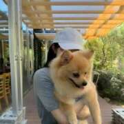 ヒメ日記 2025/05/31 13:34 投稿 新人・静香(しずか) グランドオペラ福岡