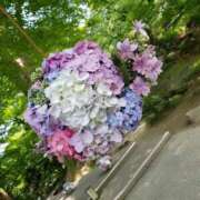 ヒメ日記 2025/06/03 07:21 投稿 新人・静香(しずか) グランドオペラ福岡