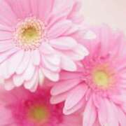 ヒメ日記 2025/06/04 18:52 投稿 新人・静香(しずか) グランドオペラ福岡