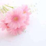 ヒメ日記 2025/07/10 18:51 投稿 新人・静香(しずか) グランドオペラ福岡