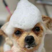 ヒメ日記 2025/07/11 21:41 投稿 新人・静香(しずか) グランドオペラ福岡