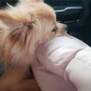 ヒメ日記 2025/07/29 18:53 投稿 新人・静香(しずか) グランドオペラ福岡