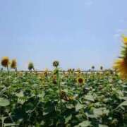 ヒメ日記 2025/08/01 06:31 投稿 新人・静香(しずか) グランドオペラ福岡