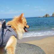 ヒメ日記 2025/08/03 06:11 投稿 新人・静香(しずか) グランドオペラ福岡