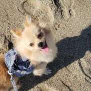 ヒメ日記 2025/09/21 19:21 投稿 新人・静香(しずか) グランドオペラ福岡