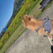 ヒメ日記 2025/10/12 07:41 投稿 新人・静香(しずか) グランドオペラ福岡