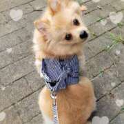 ヒメ日記 2025/10/20 19:21 投稿 新人・静香(しずか) グランドオペラ福岡