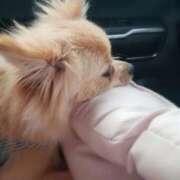 ヒメ日記 2025/11/07 15:31 投稿 新人・静香(しずか) グランドオペラ福岡