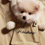 新人・静香(しずか) 記念日 グランドオペラ福岡