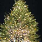 ヒメ日記 2025/12/24 23:45 投稿 新人・静香(しずか) グランドオペラ福岡