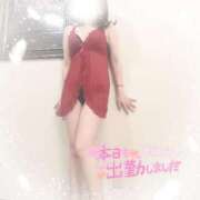 ヒメ日記 2025/04/11 16:57 投稿 ちな バナ恋