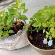 ヒメ日記 2025/12/07 10:58 投稿 りの 妻天 京橋店