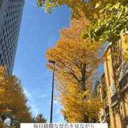 ヒメ日記 2024/12/12 09:05 投稿 未央奈/みおな 贅沢なひと時