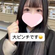 ヒメ日記 2024/12/23 18:38 投稿 未央奈/みおな 贅沢なひと時