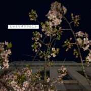 ヒメ日記 2024/12/27 01:56 投稿 未央奈/みおな 贅沢なひと時