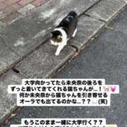 ヒメ日記 2025/01/20 07:33 投稿 未央奈/みおな 贅沢なひと時