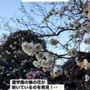 ヒメ日記 2025/02/18 09:33 投稿 未央奈/みおな 贅沢なひと時