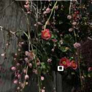 ヒメ日記 2025/02/22 21:34 投稿 未央奈/みおな 贅沢なひと時