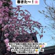ヒメ日記 2025/03/13 12:20 投稿 未央奈/みおな 贅沢なひと時