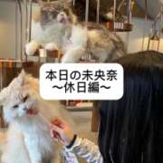 ヒメ日記 2025/03/15 18:35 投稿 未央奈/みおな 贅沢なひと時