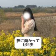 ヒメ日記 2025/03/30 18:44 投稿 未央奈/みおな 贅沢なひと時