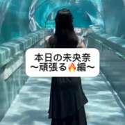 ヒメ日記 2025/08/07 09:04 投稿 未央奈/みおな 贅沢なひと時