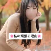 ヒメ日記 2025/12/08 09:06 投稿 未央奈/みおな 贅沢なひと時
