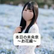 ヒメ日記 2026/06/17 21:10 投稿 未央奈/みおな 贅沢なひと時