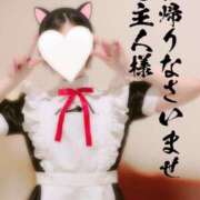 ヒメ日記 2025/01/02 20:04 投稿 なつみ☆プラチナ生徒☆ 秋葉原コスプレ学園in仙台