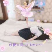 ヒメ日記 2025/04/29 20:15 投稿 なつみ☆プラチナ生徒☆ 秋葉原コスプレ学園in仙台