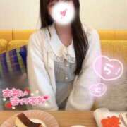 ヒメ日記 2025/03/29 15:40 投稿 らむ ていくぷらいど.学園