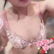 ヒメ日記 2025/05/03 13:09 投稿 らむ ていくぷらいど.学園